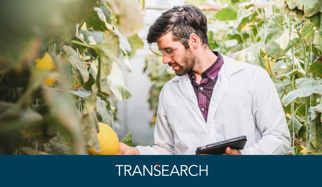 How to Succeed with Food Science Executive Search